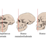 Bild_2023-03-01_162640344